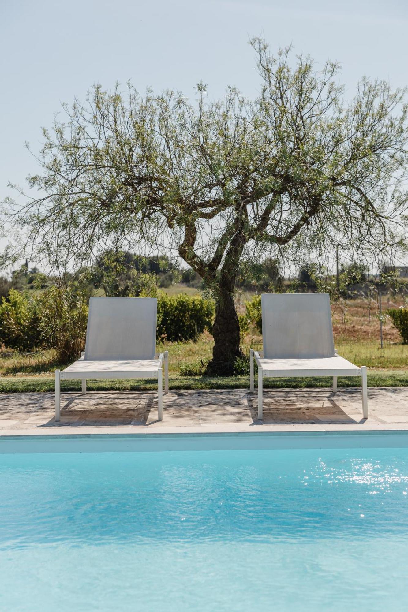Bed and Breakfast Gli Ulivi Di Gino Sanarica Zewnętrze zdjęcie